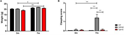 Analysis of Motor Function in the Tg4-42 Mouse Model of Alzheimer’s Disease